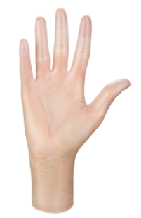 Gants Vinyles Transparents (bte 100 pces) TL